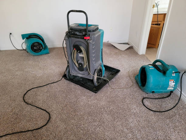 Water damage restoration insurance claims in Havana, FL