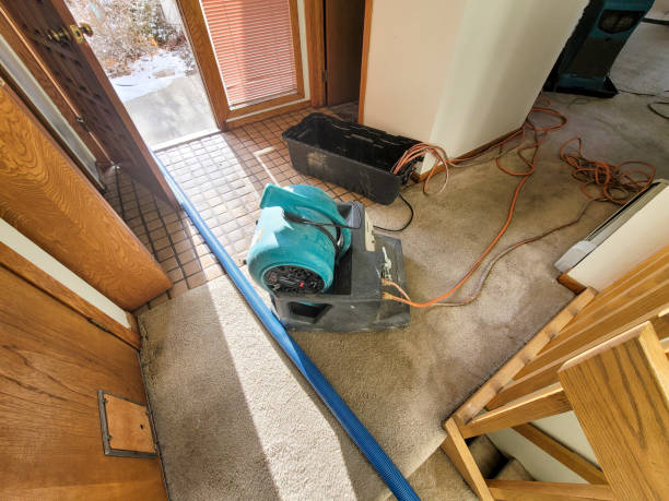 Havana, FL Water damage restoration Company