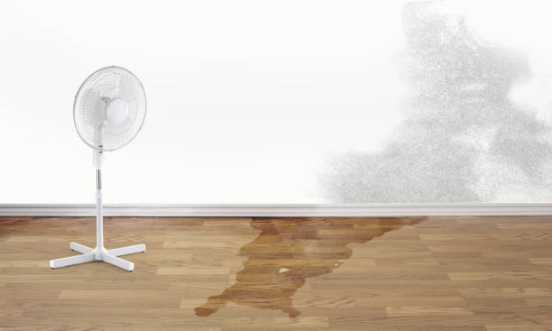 Best Water damage restoration cost  in Havana, FL
