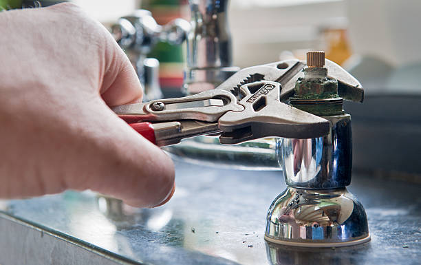Best Professional water damage repair  in Havana, FL