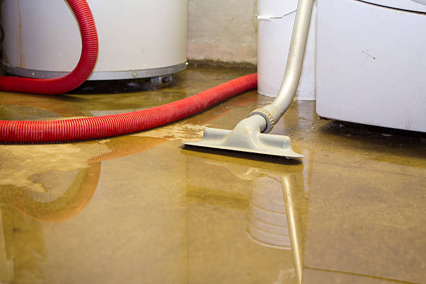 Best Residential water damage restoration  in Havana, FL