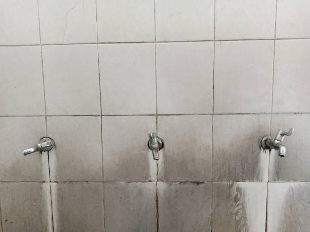 Best 24/7 water damage repair  in Havana, FL