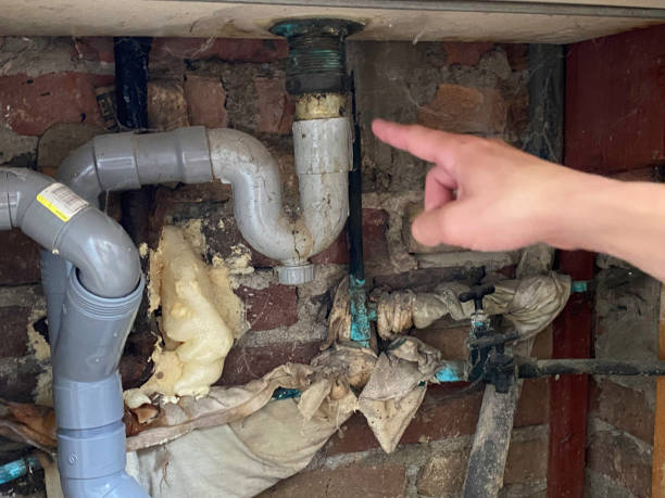 Best Water damage restoration insurance claims  in Havana, FL