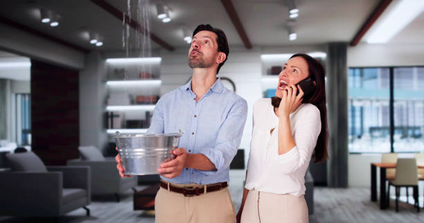 Best Water damage contractors near me  in Havana, FL