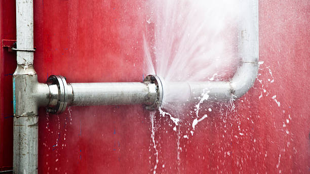 Best Ceiling water damage repair  in Havana, FL